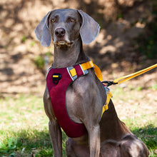 Load image into Gallery viewer, HiFuzzyPet Adjustable No Pull Dog Vest Harness