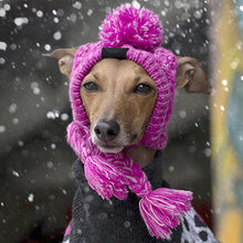 Load image into Gallery viewer, dog hat for cold weather/winter