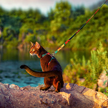 Load image into Gallery viewer, HiFuzzyPet Easy Control Cat Harness and Leash Set for Walking