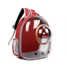 Load image into Gallery viewer, HiFuzzyPet Clear Cat Carrier Backpack with Window