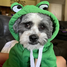 Load image into Gallery viewer, HiFuzzyPet Cat&Dogs Hooded Sweatshirt Fruit Warm