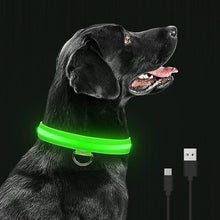 Load image into Gallery viewer, HiFuzzyPet Dog Light Collar, Adjustable Soft Dog Collar