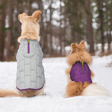 Load image into Gallery viewer, HiFuzzyPet Reversible Dog Winter Jacket