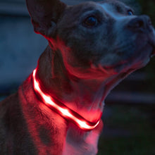 Load image into Gallery viewer, HiFuzzyPet Dog Light Collar, Adjustable Soft Dog Collar