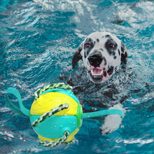 Load image into Gallery viewer, HiFuzzypet Dog Toy Rebound Balls with Hand, Pet Ufo Magic Ball