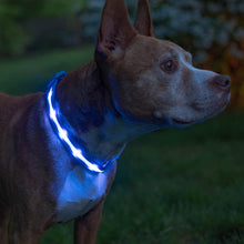 Load image into Gallery viewer, HiFuzzyPet Dog Light Collar, Adjustable Soft Dog Collar