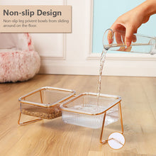 Load image into Gallery viewer, HiFuzzyPet Non-slip Cat Food and Water Bowls, Raised Pet Bowl