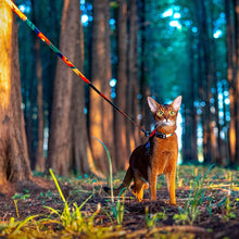 Load image into Gallery viewer, HiFuzzyPet Easy Control Cat Harness and Leash Set for Walking