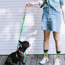 Load image into Gallery viewer, HiFuzzyPet Multifunctional 3 in 1 Hands Free Dog Leashes