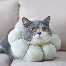Load image into Gallery viewer, HiFuzzyPet Cute Flower Shape Cat Cone Collar, Waterproof