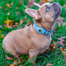 Load image into Gallery viewer, blue AirTag dog collar