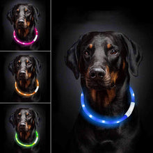 Load image into Gallery viewer, HiFuzzyPet Light Up Dog Collar for Night Walking