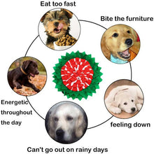 Load image into Gallery viewer, HiFuzzyPet Adjustable Dog Snuffle Mat, Pet Nose Training Toy