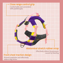 Load image into Gallery viewer, HiFuzzyPet Adjustable No Pull Dog Vest Harness