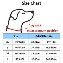 Load image into Gallery viewer, HiFuzzyPet Leather Spiked Dog Collars