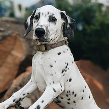 Load image into Gallery viewer, HiFuzzyPet Leather Dog Collar with Quick Release Buckle