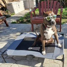 Load image into Gallery viewer, HiFuzzyPet Elevated Dog Bed Dog Cot with Mesh Center