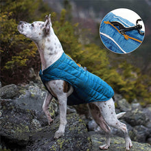 Load image into Gallery viewer, HiFuzzyPet Reversible Dog Winter Jacket