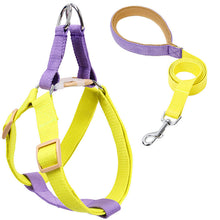Load image into Gallery viewer, HiFuzzyPet Adjustable Nylon No Pull Dog Harness & Leash