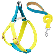 Load image into Gallery viewer, HiFuzzyPet Adjustable Nylon No Pull Dog Harness & Leash