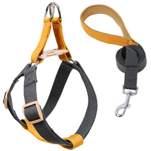 Load image into Gallery viewer, HiFuzzyPet Adjustable Nylon No Pull Dog Harness & Leash