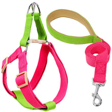 Load image into Gallery viewer, HiFuzzyPet Adjustable Nylon No Pull Dog Harness & Leash
