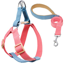 Load image into Gallery viewer, HiFuzzyPet Adjustable Nylon No Pull Dog Harness & Leash