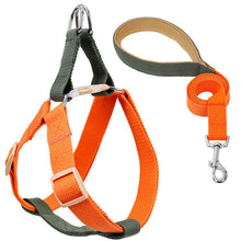 Load image into Gallery viewer, HiFuzzyPet Adjustable Nylon No Pull Dog Harness & Leash