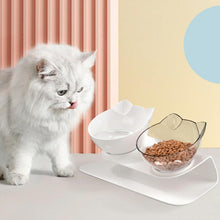 Load image into Gallery viewer, HiFuzzyPet Silicone Elevated Cat Bowls with Stand