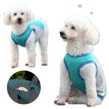 Load image into Gallery viewer, green dog cooling vest