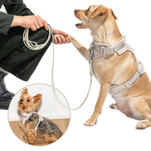 Load image into Gallery viewer, grey dog vest harnesses
