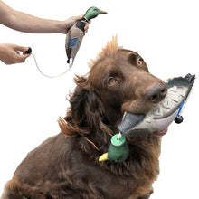 Load image into Gallery viewer, duck dog bumpers protect dog's teeth