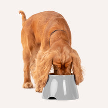 Load image into Gallery viewer, grey elevated dog bowls