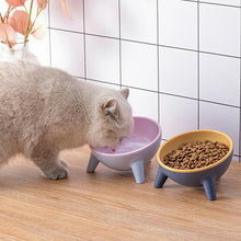Load image into Gallery viewer, HiFuzzyPet 15° Tilted Elevated Cat Bowls for Anti-Vomitng