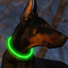 Load image into Gallery viewer, HiFuzzyPet Light Up Dog Collar for Night Walking