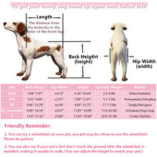 Load image into Gallery viewer, dog wheelchair size chart