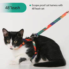 Load image into Gallery viewer, HiFuzzyPet Easy Control Cat Harness and Leash Set for Walking