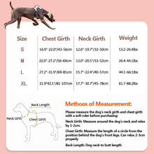 Load image into Gallery viewer, HiFuzzyPet Adjustable No Pull Dog Vest Harness