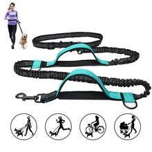 Load image into Gallery viewer, HiFuzzyPet Hands Free Dog Leash Set For Running