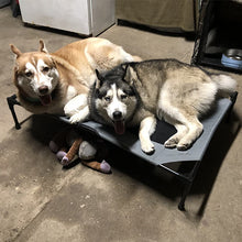 Load image into Gallery viewer, HiFuzzyPet Elevated Dog Bed Dog Cot with Mesh Center