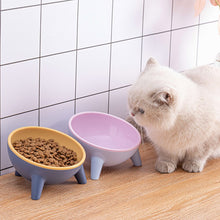 Load image into Gallery viewer, HiFuzzyPet 15° Tilted Elevated Cat Bowls for Anti-Vomitng