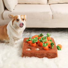 Load image into Gallery viewer, HiFuzzyPet Dog Carrot Snuffle Mat