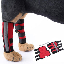 Load image into Gallery viewer, HiFuzzyPet Dog Knee Brace with Safety Reflective Straps