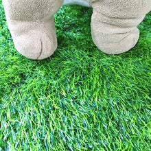 Load image into Gallery viewer, HiFuzzyPet Dog Pee Pad, Puppy Litter Box for Small Dog