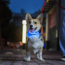 Load image into Gallery viewer, HiFuzzyPet Dog Light Collar, Adjustable Soft Dog Collar