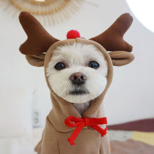 Load image into Gallery viewer, HiFuzzyPet Cat&Dogs Hooded Sweatshirt Fruit Warm