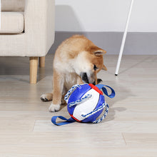 Load image into Gallery viewer, HiFuzzypet Dog Toy Rebound Balls with Hand, Pet Ufo Magic Ball