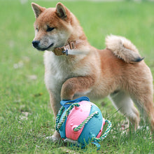 Load image into Gallery viewer, HiFuzzypet Dog Toy Rebound Balls with Hand, Pet Ufo Magic Ball