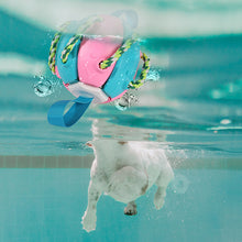 Load image into Gallery viewer, HiFuzzypet Dog Toy Rebound Balls with Hand, Pet Ufo Magic Ball