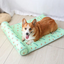 Load image into Gallery viewer, HiFuzzyPet Washable Cooling Dog Bed with Pillow
